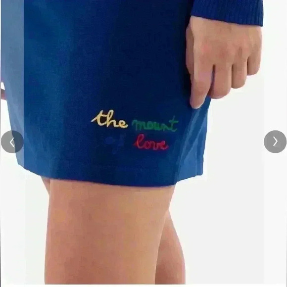 NWT ROSSIGNOL Women's Tonal Skirt 100% wool in Sz S and L “the mount of love” - Picture 3 of 12